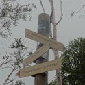 2019_NC_Farino+Parc_grandes_fougeres_37