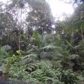 2019_NC_Farino+Parc_grandes_fougeres_38