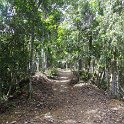 2019_NC_Farino+Parc_grandes_fougeres_41