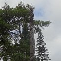 2019_NC_Farino+Parc_grandes_fougeres_53