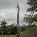 2019_NC_Farino+Parc_grandes_fougeres_54