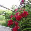 2019_NC_Hienghene_et_environs_39