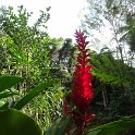 2019_NC_Hienghene_et_environs_83