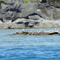 2019_NC_Hienghene_et_environs_de_la_mer_25