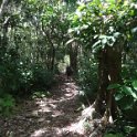 2019_NC_Hienghene_et_environs_sur_le_GR_06