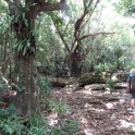 2019_NC_Hienghene_et_environs_sur_le_GR_07