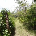 2019_NC_Hienghene_et_environs_sur_le_GR_20