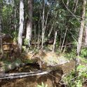 2019_NC_Yate_Bois-du-Sud_09