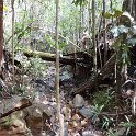 2019_NC_Yate_Bois-du-Sud_11