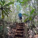 2019_NC_Yate_Bois-du-Sud_13