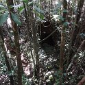 2019_NC_Yate_Bois-du-Sud_15