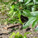 2019_NC_Yate_environs_06