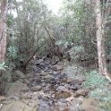 2019_Yate_Parc_Riviere_Bleue_02