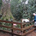 2019_Yate_Parc_Riviere_Bleue_05