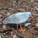 2019_Yate_Parc_Riviere_Bleue_07