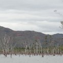 2019_Yate_Parc_Riviere_Bleue_13