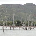 2019_Yate_Parc_Riviere_Bleue_14