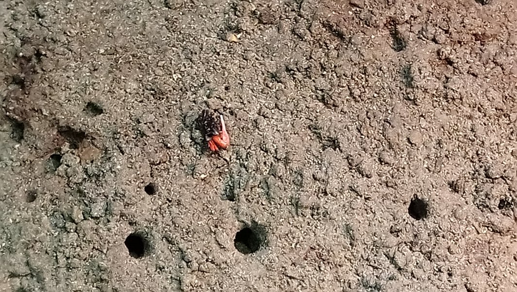 2019_NC_Noumea_aquarium_01