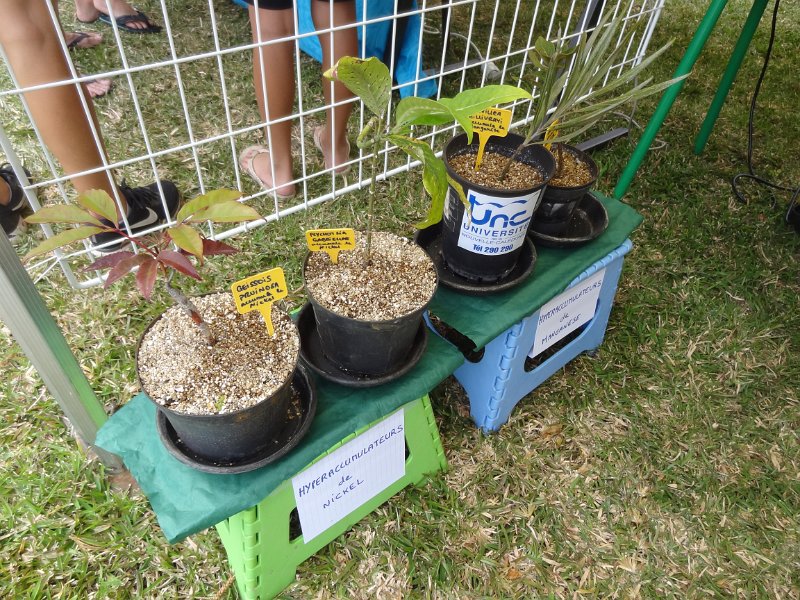 2019_NC_Noumea_fete_sciences_04