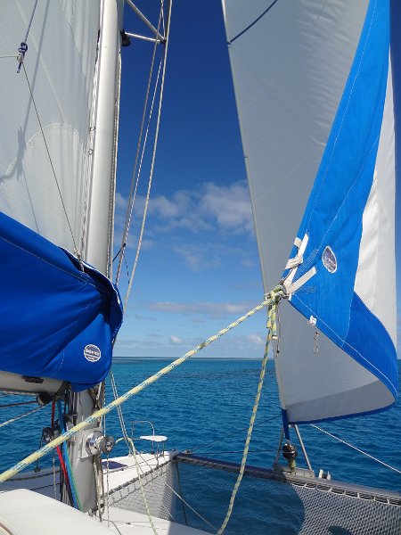 2019_NC_sortie_baleines_05