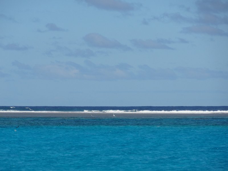 2019_NC_sortie_baleines_09