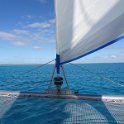 2019_NC_sortie_baleines_04