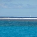 2019_NC_sortie_baleines_08