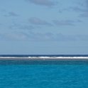 2019_NC_sortie_baleines_09