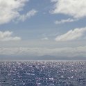 2019_NC_sortie_baleines_10