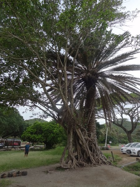 2019_NC_Noumea_Kuendu_Beach_01
