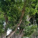 2019_NC_Noumea_baie_des_citrons_04