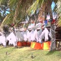 2019_NC_Noumea_baie_des_citrons_12_halloween