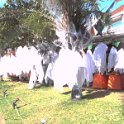 2019_NC_Noumea_baie_des_citrons_13_halloween