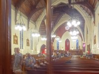 2017 Nouvelle-Zelande-1-Auckland 114