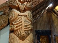 2017 Nouvelle-Zelande-1-Auckland 83