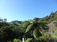 2017 Nouvelle-Zelande-2-Coromandel peninsule 05