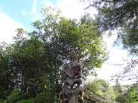 2017 Nouvelle-Zelande-5-Wairakei Terraces 05