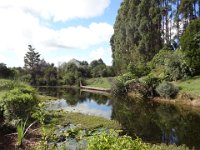 2017 Nouvelle-Zelande-5-Wairakei Terraces 09
