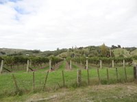 2017 Nouvelle-Zelande-6-Napier 01
