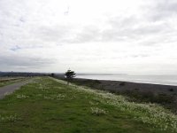 2017 Nouvelle-Zelande-6-Napier 02
