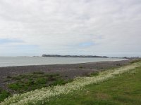 2017 Nouvelle-Zelande-6-Napier 03