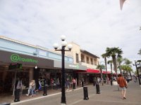 2017 Nouvelle-Zelande-6-Napier 18