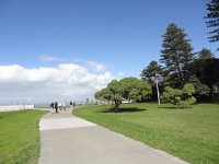 2017 Nouvelle-Zelande-6-Napier 44