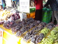 2017 Nouvelle-Zelande-6-Napier marche 07