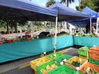 2017 Nouvelle-Zelande-6-Napier marche 09