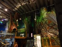 2017 Nouvelle-Zelande-7-Wellington musee Te Papa 27