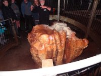 2017 Nouvelle-Zelande-9-Waitomo Caves 05