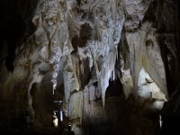 2017 Nouvelle-Zelande-9-Waitomo Caves 08