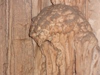 2017 Nouvelle-Zelande-9-Waitomo Caves 11