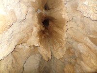 2017 Nouvelle-Zelande-9-Waitomo Caves 15